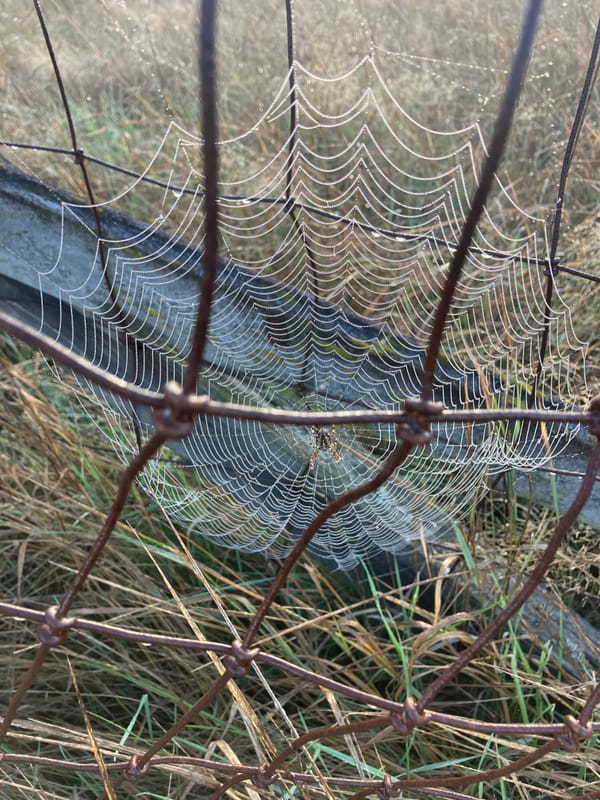 September TwentySeven